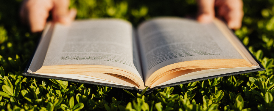 book held open on top of grass outside